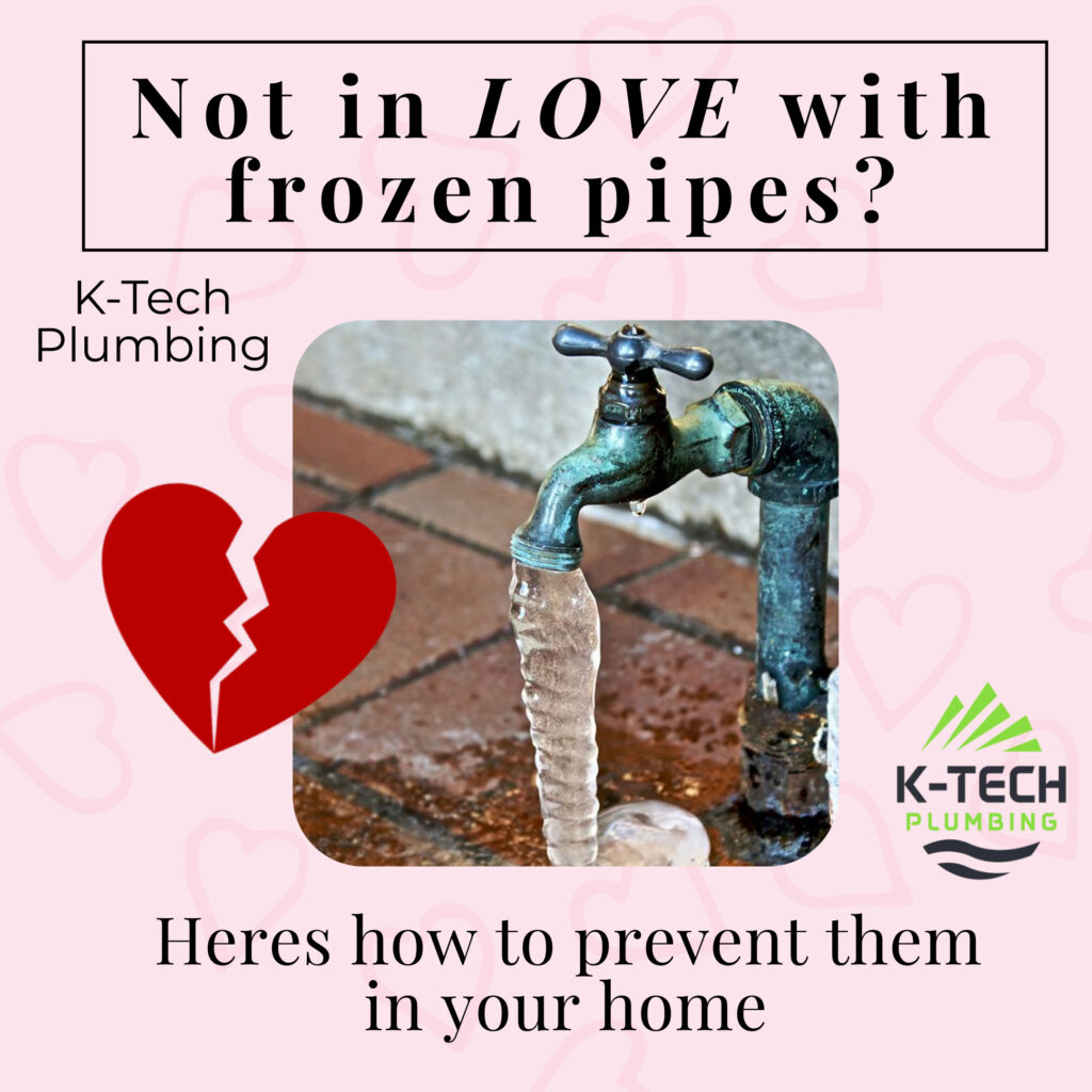 Not in love with Frozen pipes?